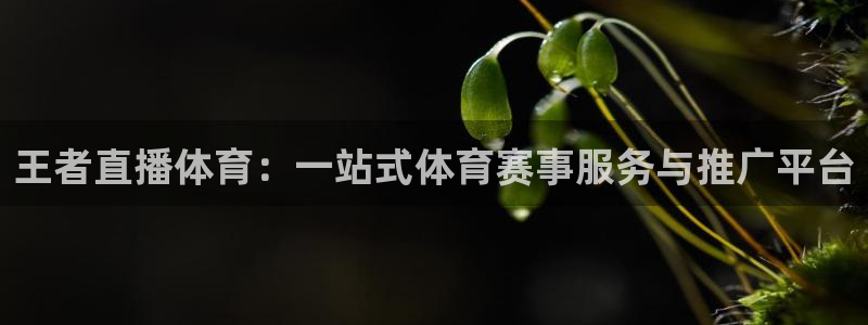 王者直播体育：一站式体育赛事服务与推广平台