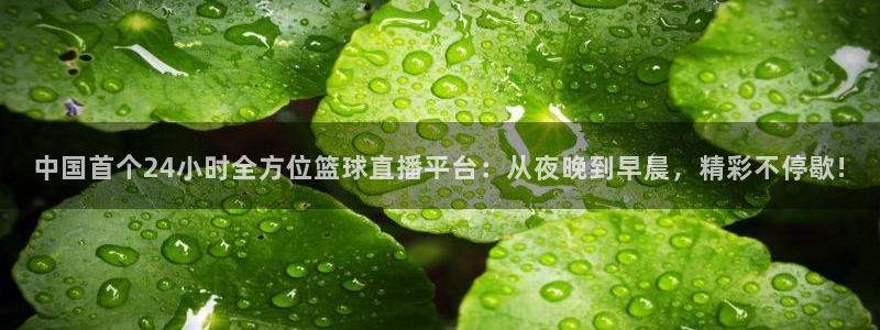 中国首个24小时全方位篮球直播平台：从夜晚到早晨，精彩不停歇!