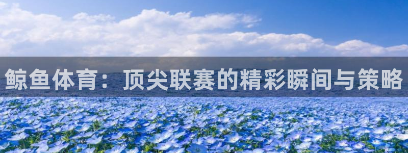 鲸鱼体育：顶尖联赛的精彩瞬间与策略