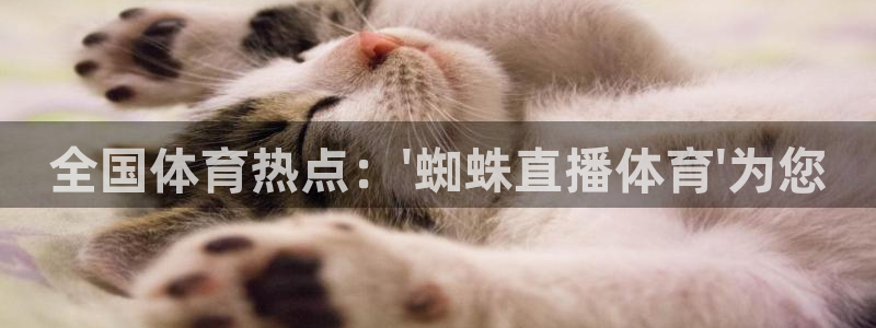 全国体育热点：\'蜘蛛直播体育\'为您