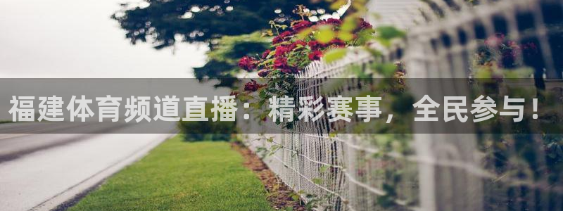 福建体育频道直播：精彩赛事，全民参与！