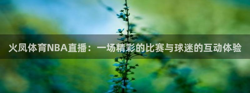 火凤体育NBA直播：一场精彩的比赛与球迷的互动体验