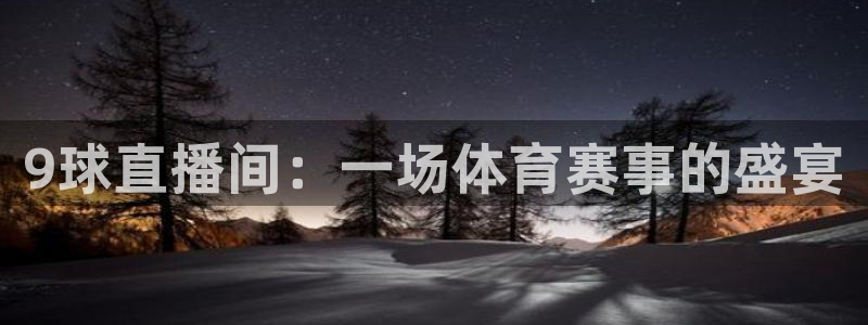 9球直播间：一场体育赛事的盛宴