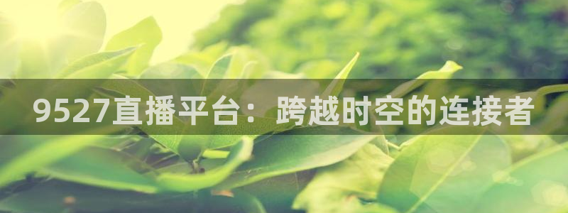9527直播平台：跨越时空的连接者