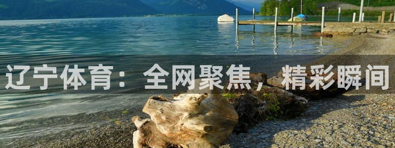 辽宁体育：全网聚焦，精彩瞬间