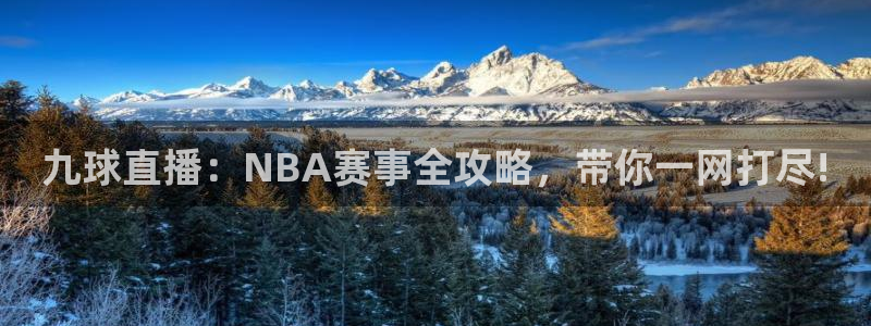 9球直播吧：九球直播：NBA赛事全攻略，带你一网打尽!