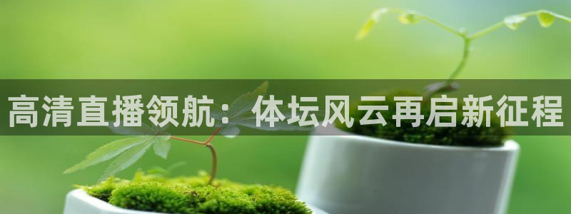 9球直播：高清直播领航：体坛风云再启新征程