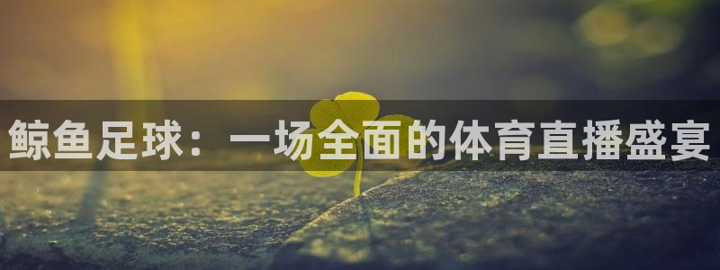 9球体育直播在线观看免费：鲸鱼足球：一场全面的体育直播盛宴