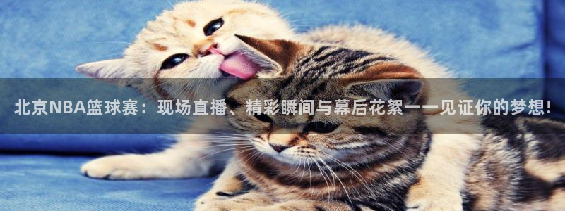 9球直播下截：北京NBA篮球赛：现场直播、精彩瞬间与幕后花絮一一见证你的梦想!
