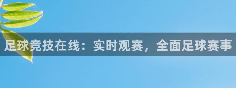 9球直播间：足球竞技在线：实时观赛，全面足球赛事