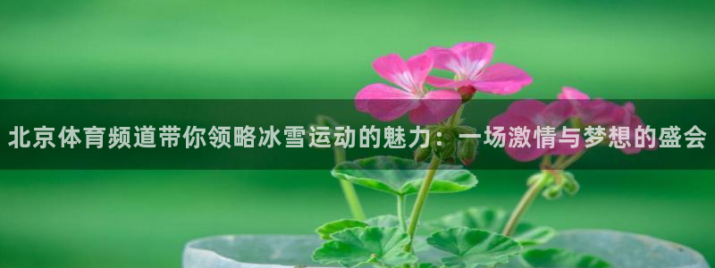 九球直播官网-9球体育-九球在线直播-看球更容易：北京体育频道带你领略冰雪运动的
