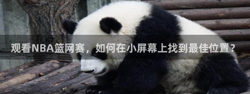 下载9球体育直播