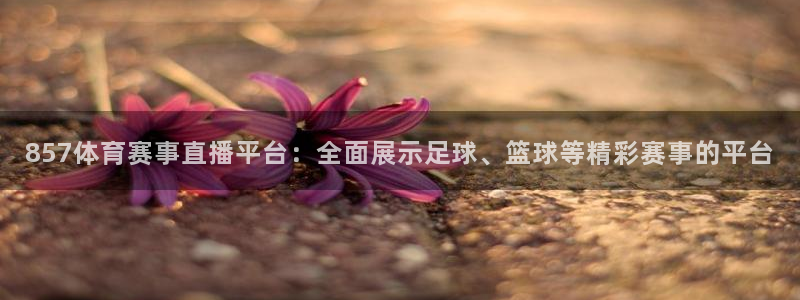 9球直播什么时候开始的