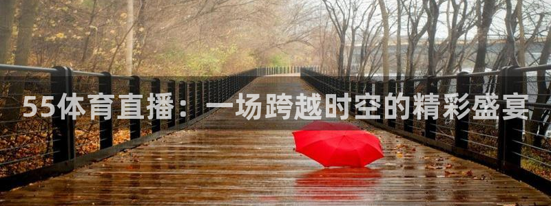9球直播nba在线观看高清：55体育直播：一场跨越时空的精彩盛宴