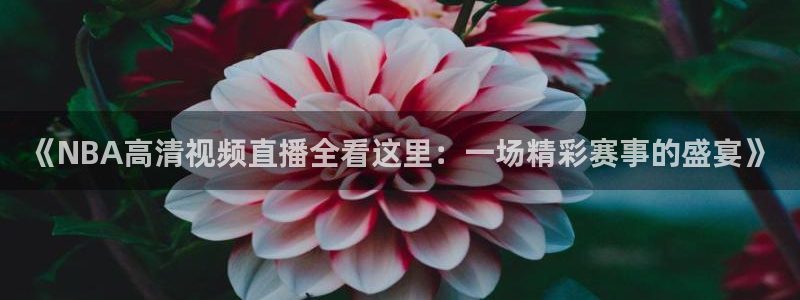 九球直播官网-9球体育-九球在线直播-看球更容易：《NBA高清视频直播全看这里：
